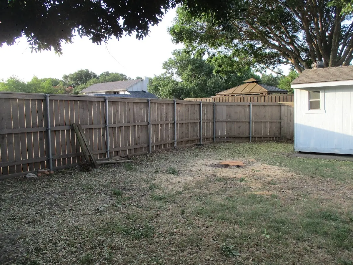 Cleared yard after professional tree removal in Alexander