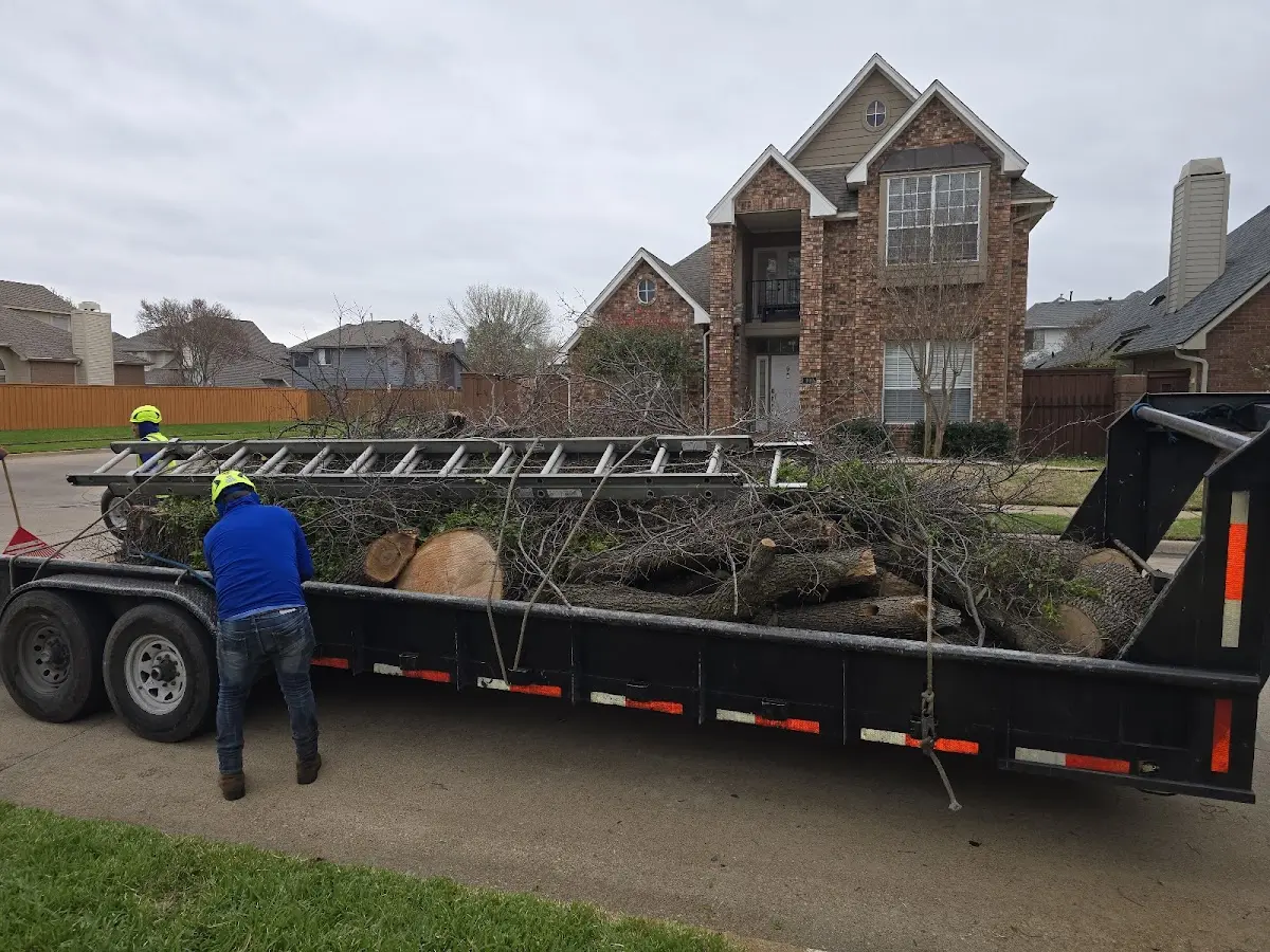 Expert Lot Clearing with proper safety equipment in Alexander
